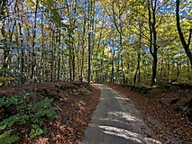 Eine Tour für heiße Tage - Wanderung um den Peetschsee