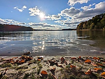 Ein Tour für heiße Tage - Wanderung um den Peetschsee mit Abstecher zum Stechlinsee