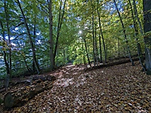 Eine Tour für heiße Tage - Wanderung um den Peetschsee