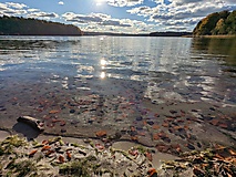 Ein Tour für heiße Tage - Wanderung um den Peetschsee mit Abstecher zum Stechlinsee