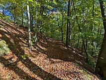 Ein Tour für heiße Tage - Wanderung um den Peetschsee mit Abstecher zum Stechlinsee