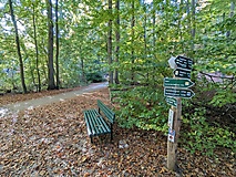 Ein Tour für heiße Tage - Wanderung um den Peetschsee mit Abstecher zum Stechlinsee
