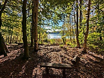 Ein Tour für heiße Tage - Wanderung um den Peetschsee mit Abstecher zum Stechlinsee