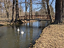 Ausflugstipps für Cottbus und den Landkreis Spree-Neiße