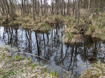 Ausflugstipps für den Landkreis Havelland