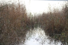 Ausflugstipps für den Landkreis Havelland