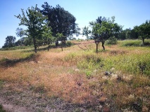 Ausflugstipps für den Landkreis Havelland