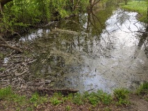 Erdelöcher Paretz -  ehemalige Tongruben