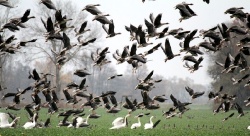 Fotos aus dem Havelland