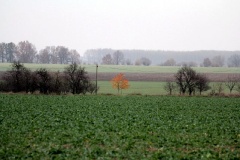 Ausflugstipps für den Landkreis Havelland