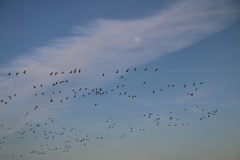 Havelradweg von Ketzin nach Phöben
