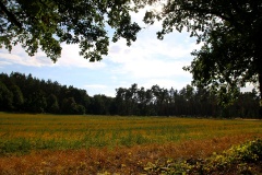 Ausflugstipps für den Landkreis Havelland