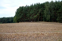 Ausflugstipps für den Landkreis Havelland