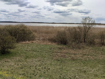 Im Vogelparadies: Rundtour am Gülper See