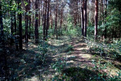 Ausflugstipps für den Landkreis Havelland