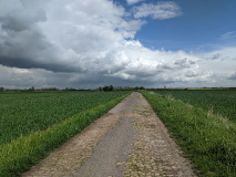 Bauchläden, Burgen, Biotope