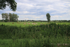 Bauchläden, Burgen, Biotope