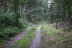 MAZ-Landpartie: Rundtour von Premnitz durch das Westhavelland