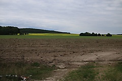 MAZ-Landpartie: Rundtour von Premnitz durch das Westhavelland