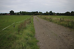 MAZ-Landpartie: Rundtour von Premnitz durch das Westhavelland