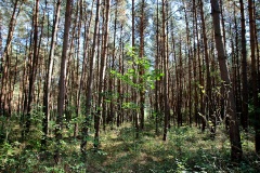 Ausflugstipps für den Landkreis Havelland
