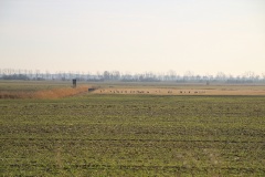 Radtour von Päwesin nach Roskow
