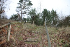 Die Rhinower Berge - Ort der Weltgeschichte und Aussichtspunkt