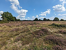 Ein beeindruckendes Refugium: Die Döberitzer Heide