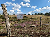 Streifzug durch Natur und Weltgeschichte: Vom Olympischen Dorf in die Döberitzer Heide