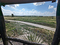 Streifzug durch Natur und Weltgeschichte: Vom Olympischen Dorf in die Döberitzer Heide