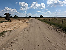 Streifzug durch Natur und Weltgeschichte: Vom Olympischen Dorf in die Döberitzer Heide
