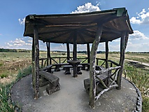 Streifzug durch Natur und Weltgeschichte: Vom Olympischen Dorf in die Döberitzer Heide