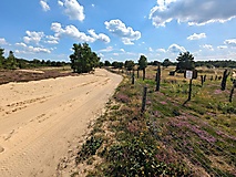Streifzug durch Natur und Weltgeschichte: Vom Olympischen Dorf in die Döberitzer Heide
