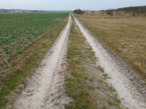 Von Uetz nach Falkenrehde