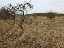 Von Uetz nach Falkenrehde