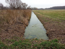 Von Uetz nach Falkenrehde