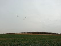 Von Uetz nach Falkenrehde