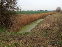 Von Uetz nach Falkenrehde