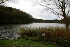 Dollgower See