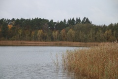 Groß Dölln