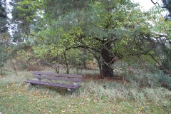 Ausflugstipps für den Landkreis Oberhavel