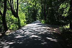MAZ-Landpartie: Rundtour von Gransee nach Lindow und Meseberg