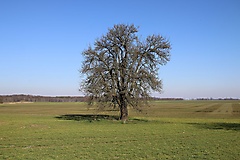 Rundtour von Gransee nach Lindow und Meseberg
