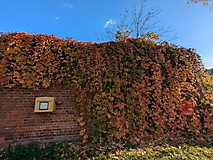 Ausflugstipps für den Landkreis Oder-Spree und Frankfurt (Oder)