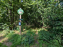 Wild, weit und waldig: Das Schlaubetal am Treppelsee