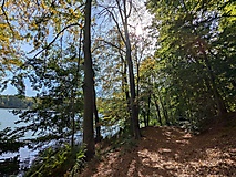 Wild, weit und waldig: Das Schlaubetal am Treppelsee