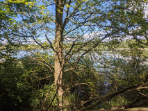 Bahntrassen-Radweg Rheinsberg-Dorf Zechlin