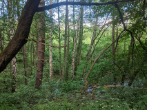 Bahntrassen-Radweg Rheinsberg-Dorf Zechlin