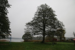 Der Wittstocker Ortsteil Schweinrich mit Feldsteinkirche und Badesee
