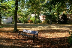 Lindow (Mark)